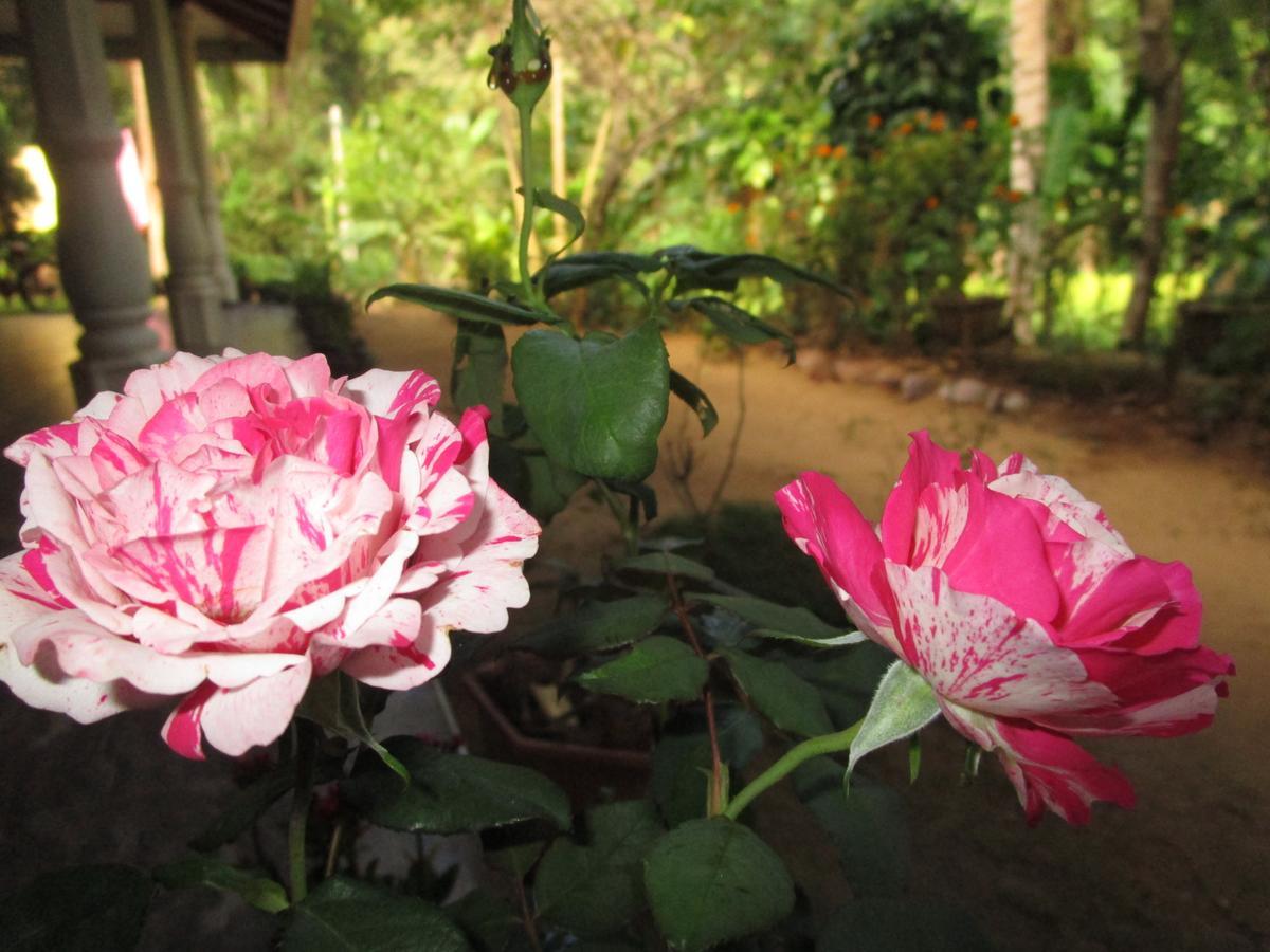 Maneesha Guest House Weligama Bagian luar foto
